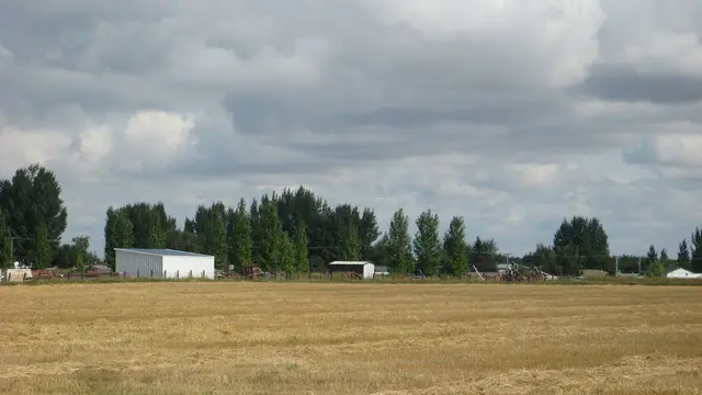 Field on the edge of town